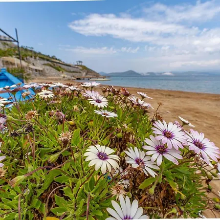 Apartment квартиры с собственным пляжем в Adabuku Bodrum
